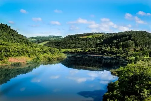 工业高标准